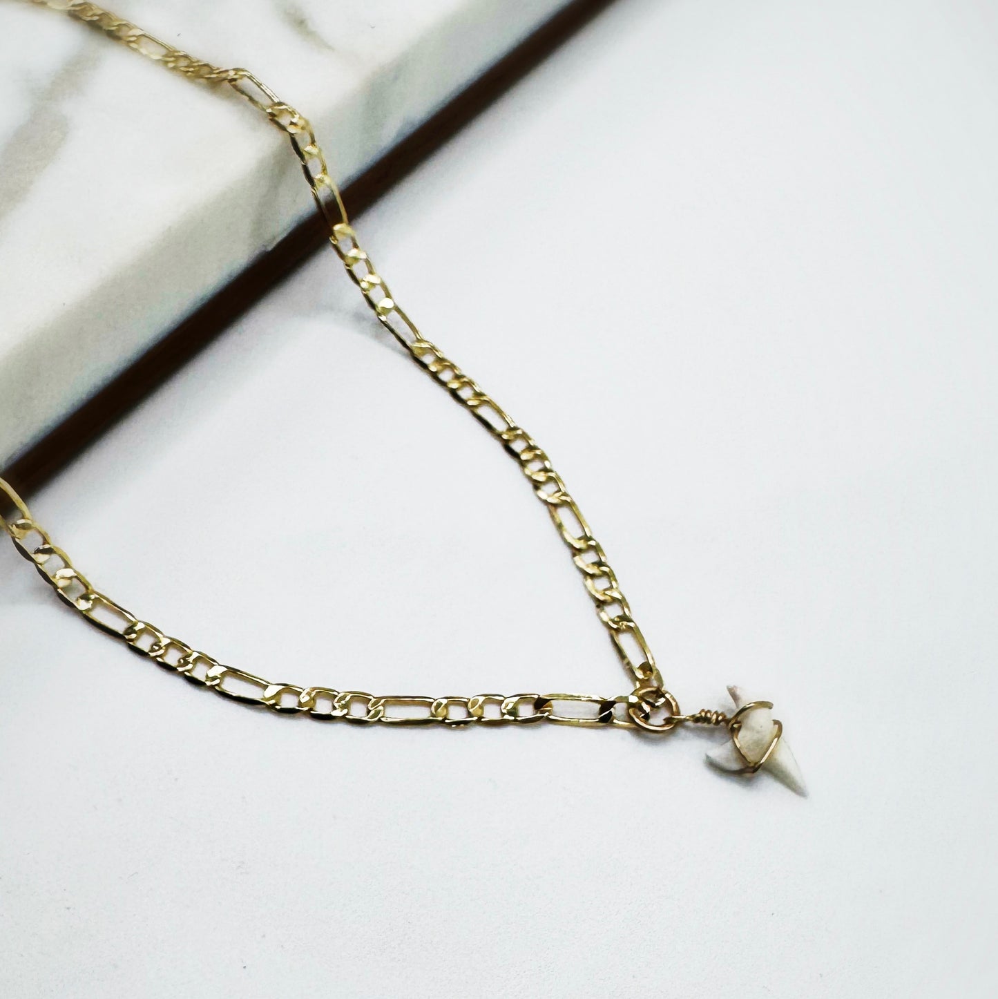 Sharks Tooth Necklace