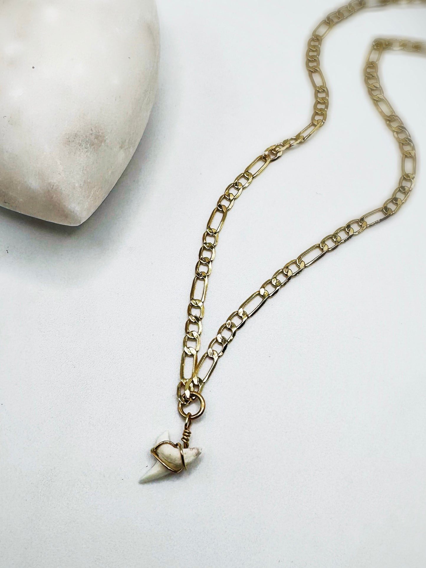 Sharks Tooth Necklace