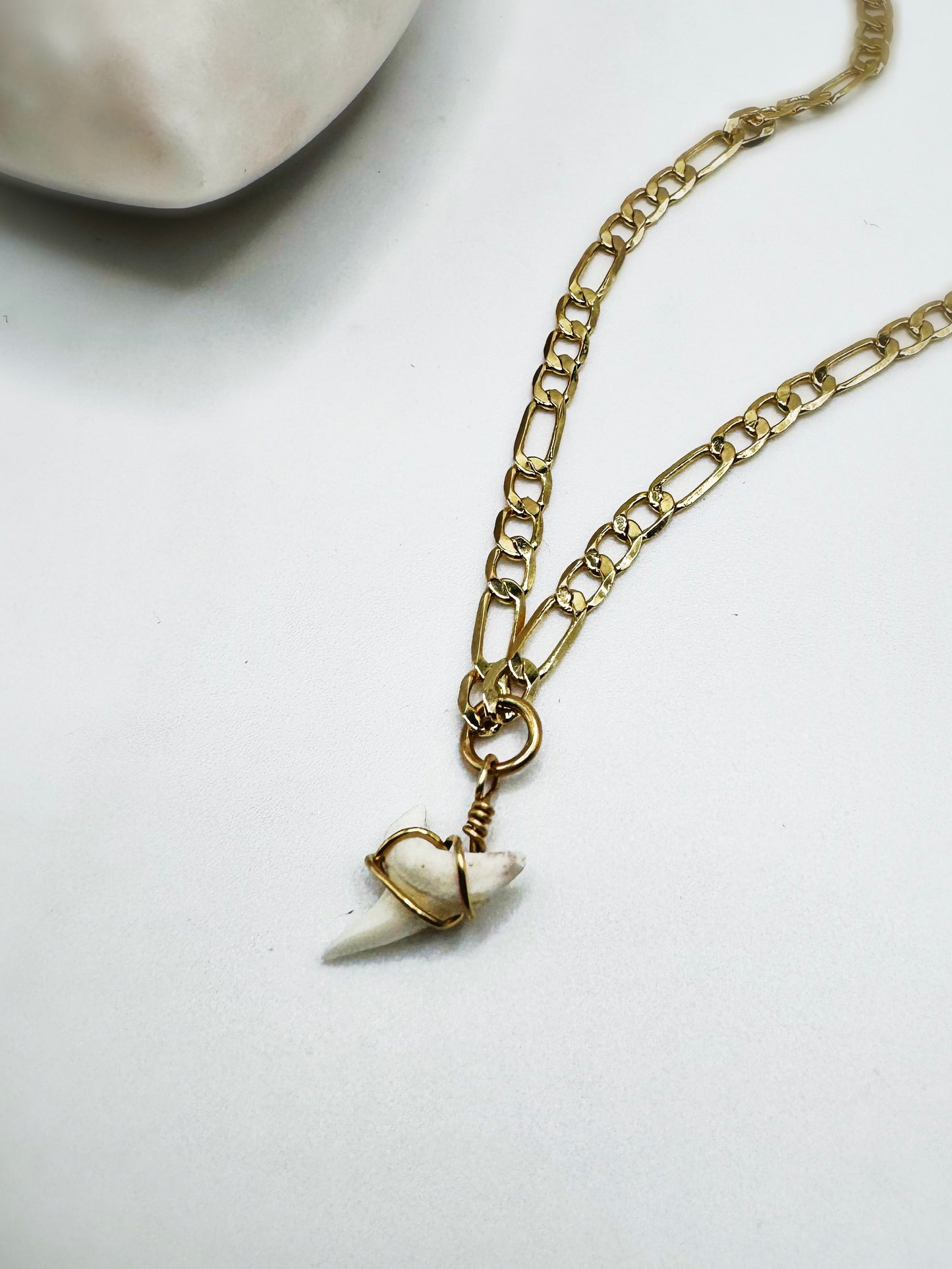 Sharks Tooth Necklace
