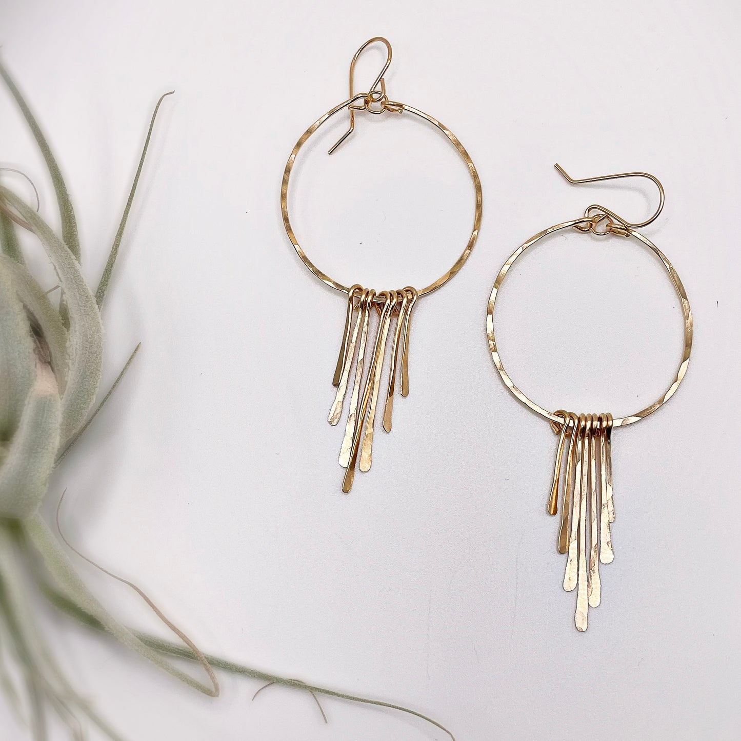 Beach Palm Hoops