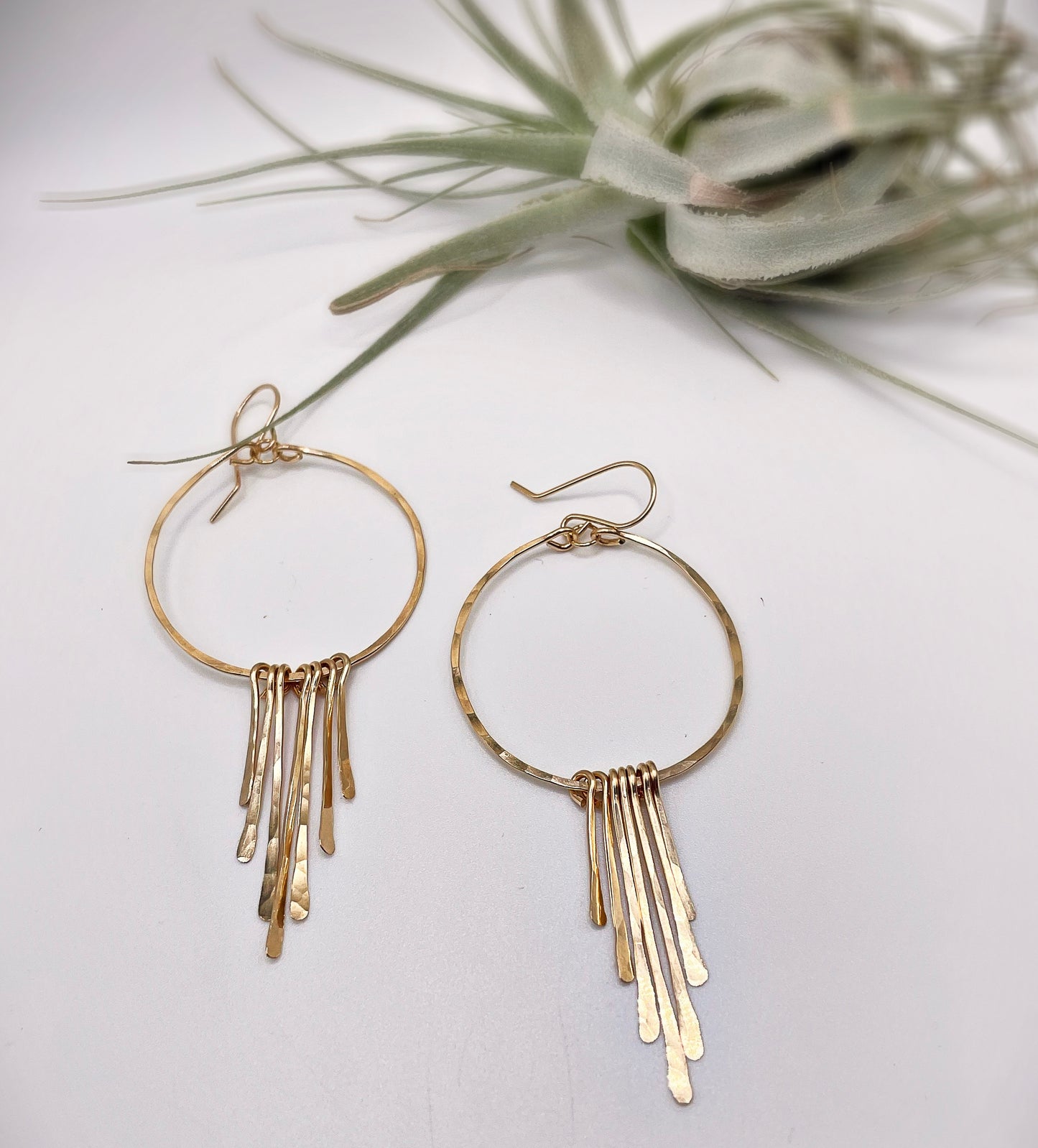 Beach Palm Hoops